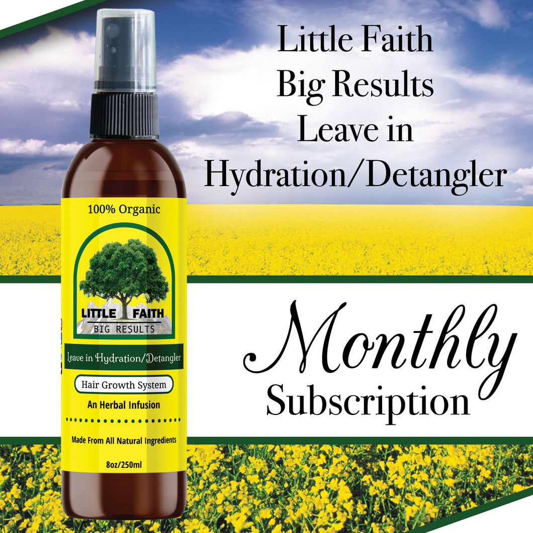 Little Faith Big Results  Leave in Hydration / Detangler